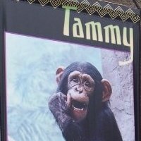 Tamara Bowlsby