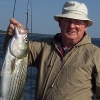 Bill Varbel