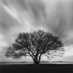 Deborah Whitlow