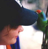 Jeannine Bestine