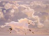 Mary Garvis