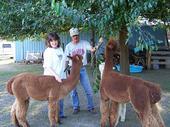 Traci Bigham