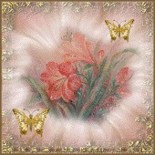 Kathy Ouimet