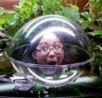 Marlo Miyashiro