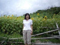 Peiwen Shih