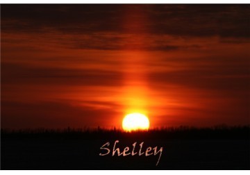 Shelley Knippling