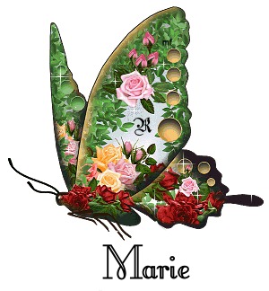 Marie Denovi