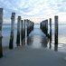 Lesley Irminger