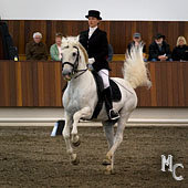 Linda Stenstadvold