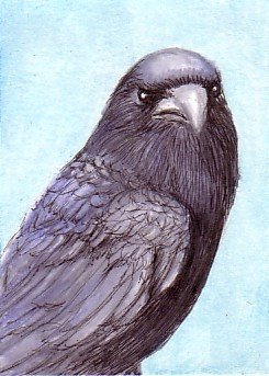 Diana Crow