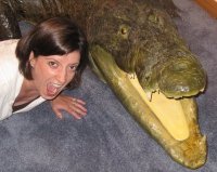 Lori Newton