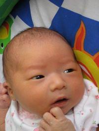 Steven Shin