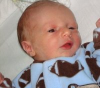 Tenley Dulaney