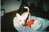 Carolyn Hively