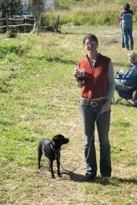 Anne Dehaven