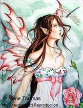 Debbi Sullivan