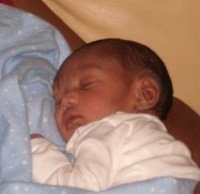 Terrance Foxworth