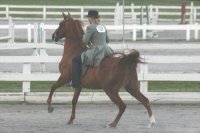 Suzanne Schuler