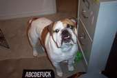 Justin Bazemore