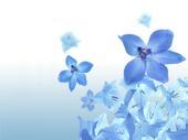 Heather Celoria