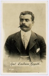 Matthew Zapata