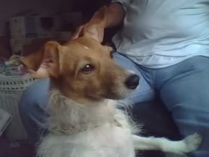 Lizbeth Mix