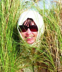 Donna Lesnew