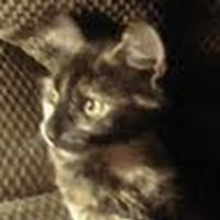 Tabitha Cothern