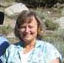 Sue Brtis