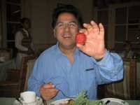 Basil Plastiras