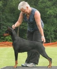 Marylyn Degregorio