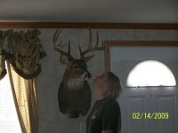 Callie Johnson