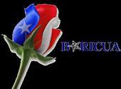 Magaly Rivera