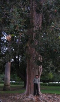 Vinh Tran