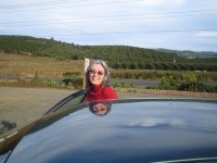 Wanda Cosyn