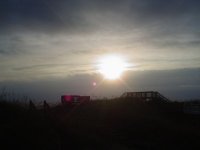 Dartania Reel