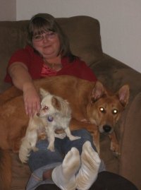Shelly Vodeb
