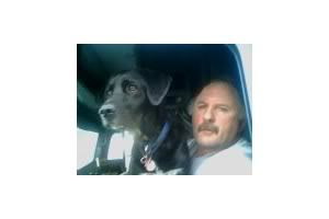 Dale Wenman