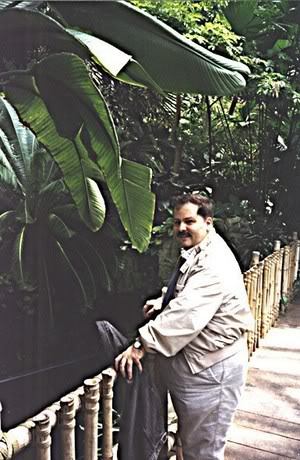Frank Damico