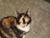 Juanita Matherly