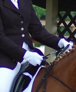 Robin Cummins