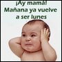 Jose Romero
