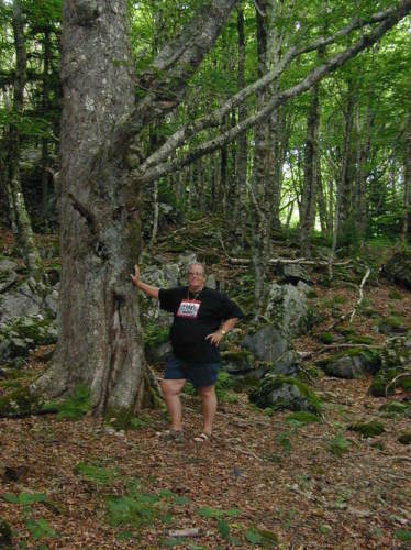 James Barker