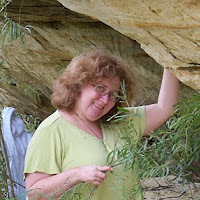 Carol Lentz