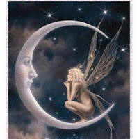 Dawn Cook