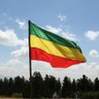 Alemayehu Gemeda