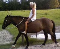 Terri Wildman