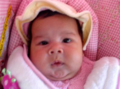 Wendy Villamil
