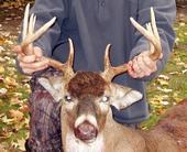 Donald Creager