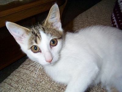 Penny Farley